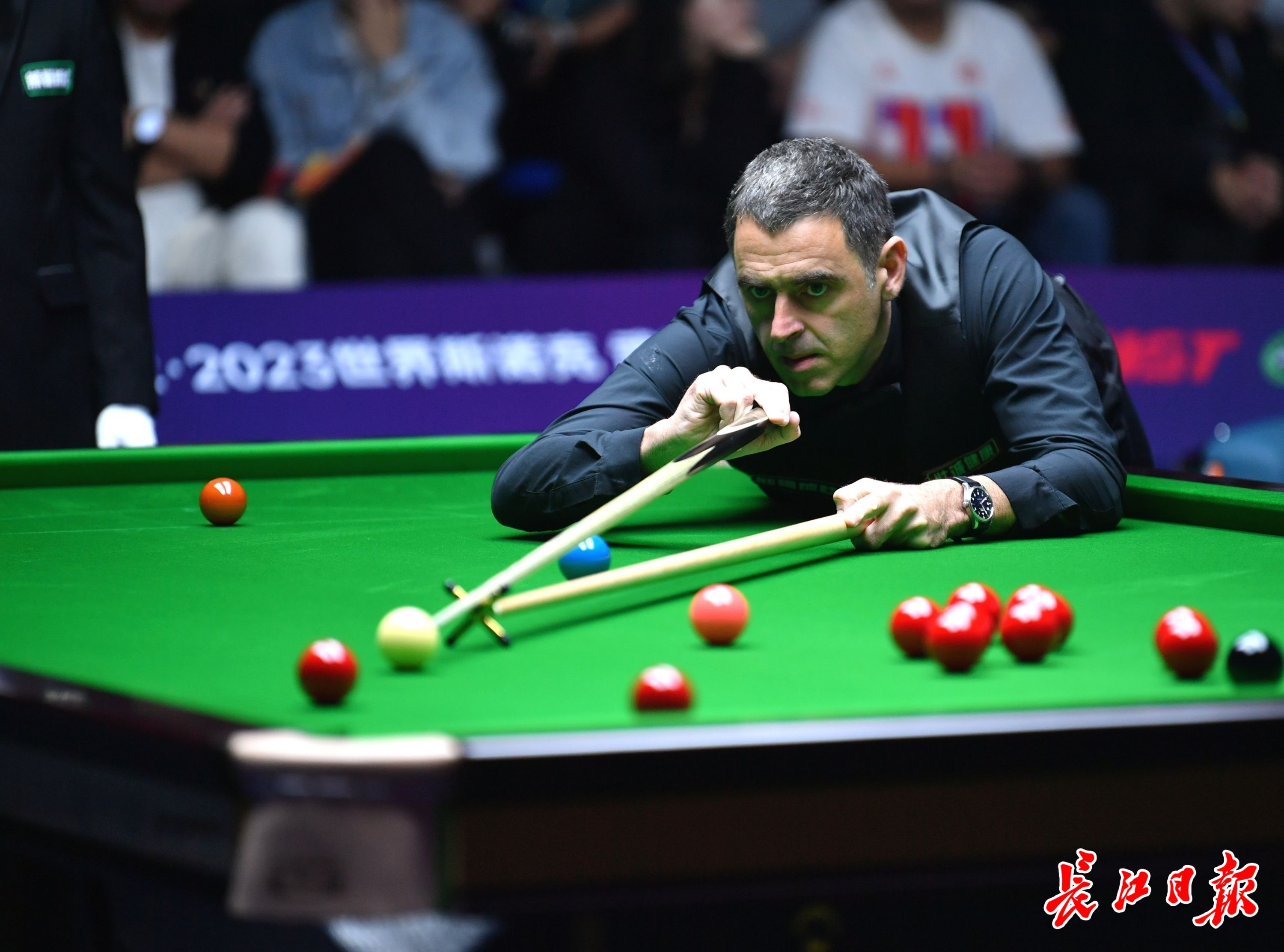 官方如能明 官方如能明